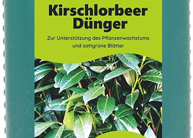 kirschlorbeer dünger