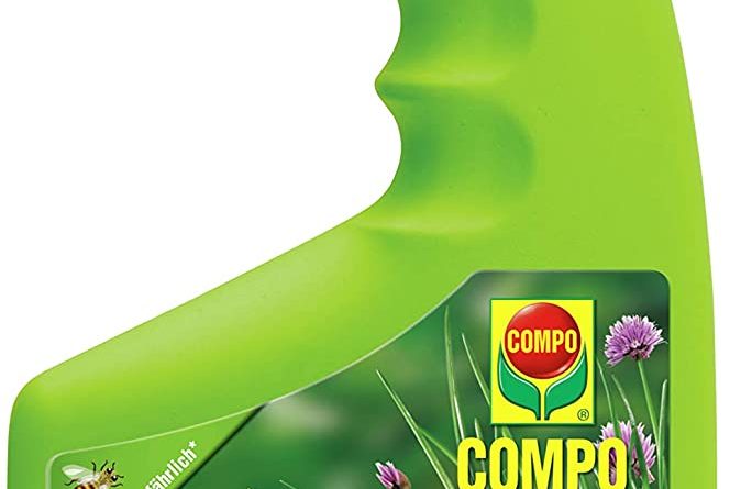 kirschlorbeer schädling